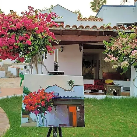 Hostel La Tortuga *