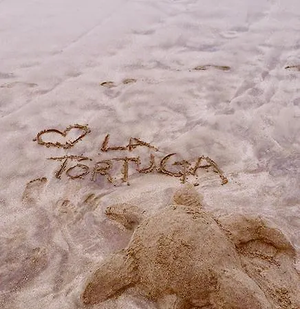 La Tortuga אכסניה אדחה