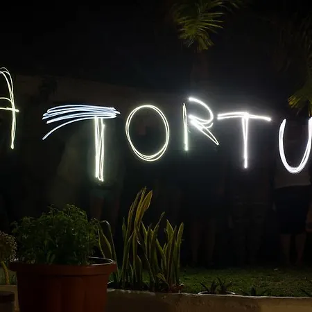 ホステル La Tortuga アデヘ
