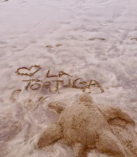 La Tortuga Hostel Costa Adeje (Tenerife)