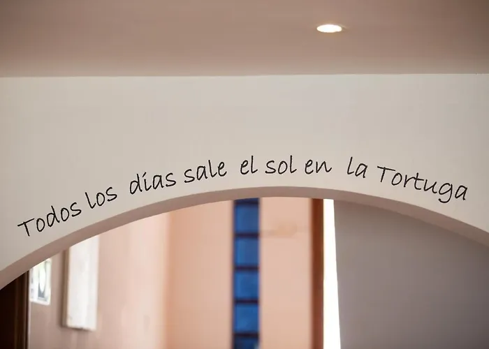 La Tortuga 아데제