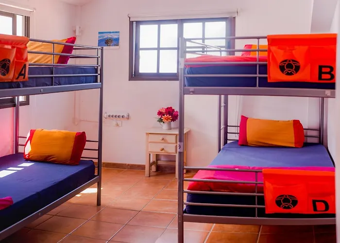 호스텔 La Tortuga